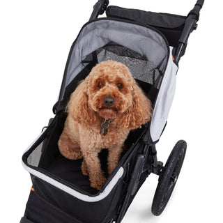 Palster Explorer All Terrain Dog Stroller - Black & Mist Silver