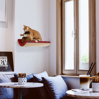 The CHILL Cat Shelf Perch by Cosy & Dozy Bundle - 1 Step (Multiple Cushion Colours Available)