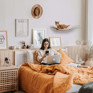 The CHILL DeLuxe Cat Shelf Perch by Cosy & Dozy – Maple Wood (Multiple Cushion Colours Available)