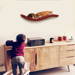 The CHILL DeLuxe Cat Shelf Perch by Cosy & Dozy – Walnut (Multiple Cushion Colours Available)